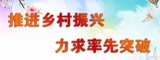 推进乡村振兴 力求率先突破
