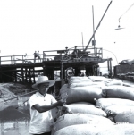 德州运河沿岸的劳动号子