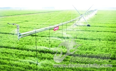 平原：在打造“齐鲁样板”中干在实处走在前列 | 对平原县深入实施乡村振兴战略的调查与思考