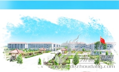 农业强 农民富 农村美 | 夏津描绘乡村振兴“美丽画卷”