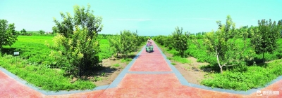 乡村振兴·率先突破 | 临邑：“融入共赢”推动产业裂变