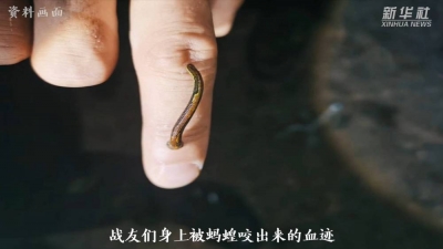 今天鲜花献给英烈丨致敬！一个边境派出所 八座英雄烈士墓