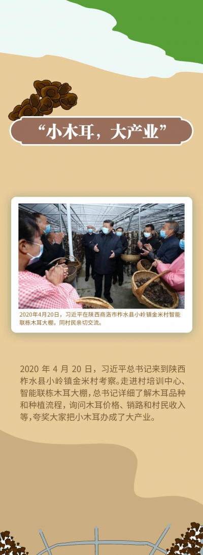 长图丨丰收时节话桑麻