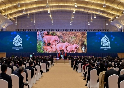 在春城开启人与自然新未来——《生物多样性公约》第十五次缔约方大会开幕式的五个瞬间