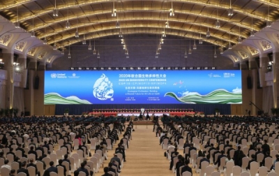 第一报道 | 共建地球生命共同体 习主席这样指引  