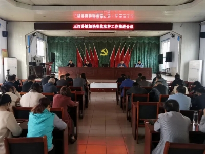 抢收抢种大会战 | 平原王打卦镇：“红色动能”再添力，秋收一线践初心
