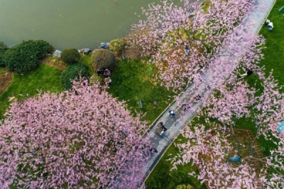 “总书记，这里的春天更美丽！”