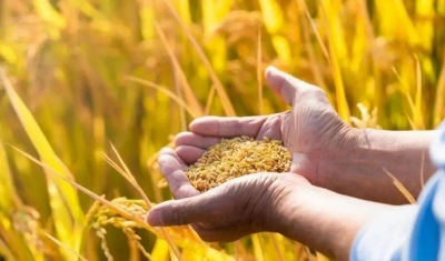 海右谈丨为“富起来”拼了，这项指标山东“老乡”又跑赢了