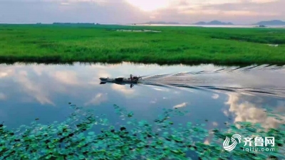 奋力“走在前” 山东生动铺展“幸福河”壮美新画卷