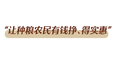 办好自己的事丨牢牢端稳中国饭碗