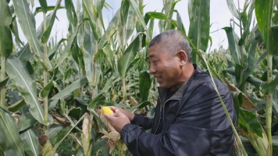 思想的力量丨八里庙村的共富路
