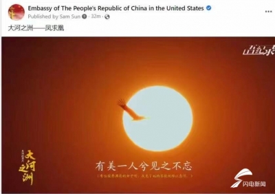 火到国外！这部展现黄河入海口风貌的纪录片也太赞了，快追！