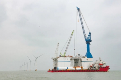 人民日报点赞东营：海上风电平价时代全国首个核准项目并网发电