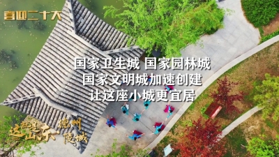 这就是山东丨这十年这十秒·陵城区