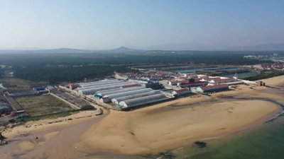 深入学习宣传贯彻党的二十大精神丨山东：产业科技双向融合 推进高水平科技自立自强