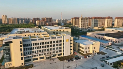 深入学习宣传贯彻党的二十大精神丨山东：定制服务护航 激发市场活力