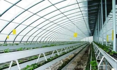 闪电评论丨乘“云”而上，绘就“数字乡村”新画卷