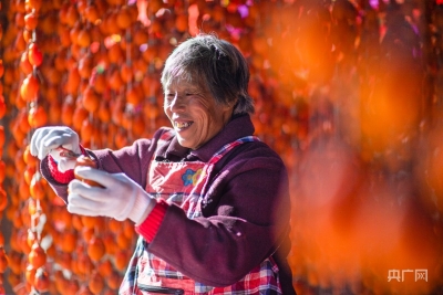 乡村振兴看山东丨山东隐士村：隐“柿”出山描绘丰收胜景