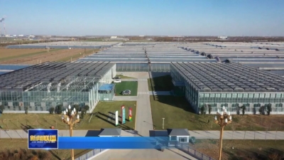 深入学习宣传贯彻党的二十大精神丨山东：推动一二三产融合 打造现代农业体系