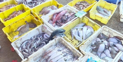 夜读·赶大集 寻年味儿丨“海味儿”十足的青岛大集