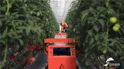 两会观察｜瞄准“省域范例”，共同富裕这道题山东给出可期答案