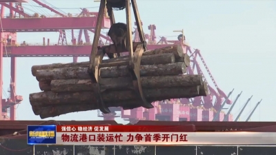 强信心 稳经济 促发展｜物流港口装运忙 力争首季开门红