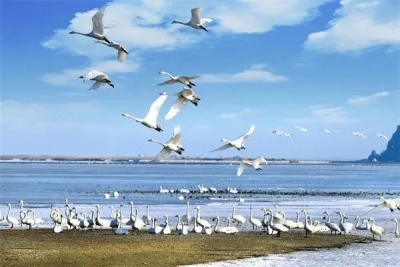 山东3条乡村冬游线路上全国榜！到底有多宝藏？