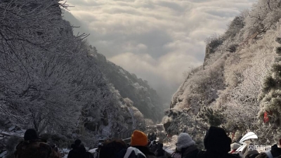 泰山云海、日出、雾凇美景齐现，惊艳你的朋友圈！