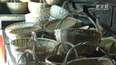 新春走基层｜生态文旅助推沂蒙小山村走上蝶变之路