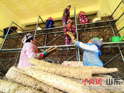 菏泽牡丹区：“一村一品”特色产业赋能乡村振兴