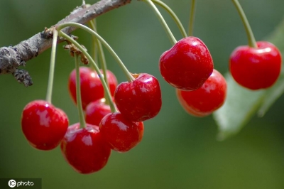 行走仙境海岸线， 看“一半在海里”的山东如何耕耘深海大洋
