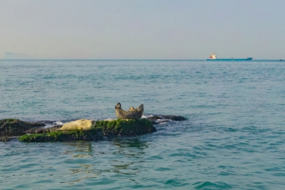 山东：全省生态环境质量连创有监测记录以来最优