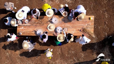 新农人 兴农人①｜“半农半X”的春天：从大城市到小乡村，他们给出沂蒙乡间生活新答案