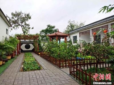 山东构建独具特色乡村“风景线” 持续推动近郊游发展