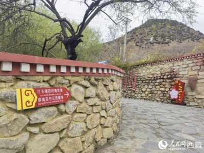 跟着总书记看中国｜林芝“桃花村”的故事又更新了