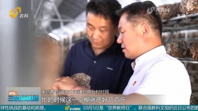 走乡村公路 看乡村振兴｜邹城：建好乡村公路 带富一方百姓