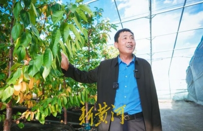 “援”来有你丨4000米高原上“架起”蔬菜博览园：白朗果蔬产业发展背后的“济南密码”