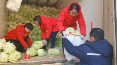 “蔬送”祝福，“百财”进家｜长江物业40余万斤白菜送业主