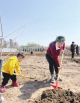 共享菜園：種出生活新方式