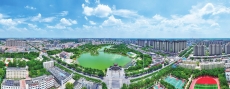 平原推行城市精細(xì)化管理新模式—— 落筆方寸間 城市煥新顏