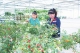 边临镇德轩党建联合体："抱团发展"蹚出致富路
