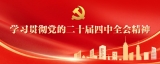 學(xué)習(xí)貫徹黨的二十屆四中全會(huì)精神