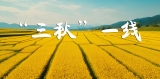 “三秋”一線