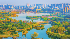 多彩之城競斑斕