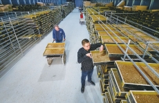 陵城在外能人劉波依托黨建聯(lián)合體返鄉(xiāng)創(chuàng)業(yè)—— 黃粉蟲變成致富“黃金蟲”