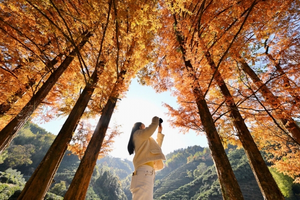 武夷冬韻醉游人