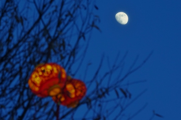 本年度最大盈凸月現(xiàn)身天宇