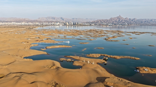 內蒙古烏海：沙水相依鷗翔集