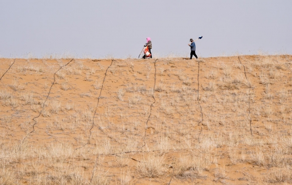 寧夏中衛(wèi)：春日植綠鎖黃沙