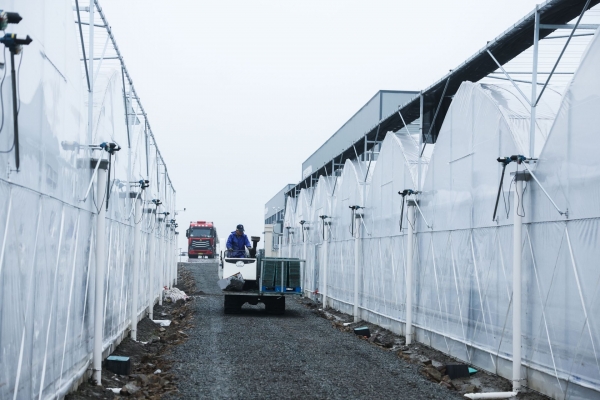 浙江慈溪：現(xiàn)代農(nóng)事服務(wù)中心春季育秧忙